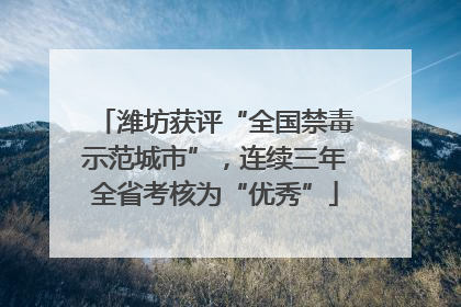 潍坊获评“全国禁毒示范城市”，连续三年全省考核为“优秀”