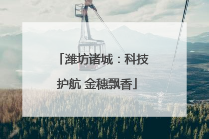 潍坊诸城：科技护航 金穗飘香
