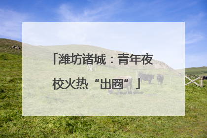 潍坊诸城：青年夜校火热“出圈”
