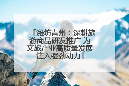 潍坊青州：深耕旅游商品研发推广 为文旅产业高质量发展注入强劲动力