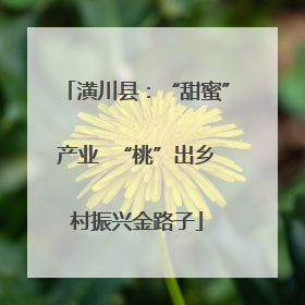 潢川县：“甜蜜”产业  “桃”出乡村振兴金路子