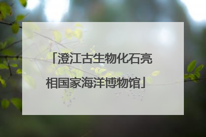 澄江古生物化石亮相国家海洋博物馆