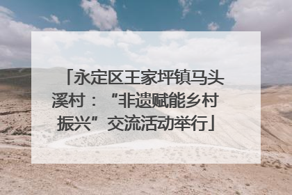永定区王家坪镇马头溪村：“非遗赋能乡村振兴”交流活动举行