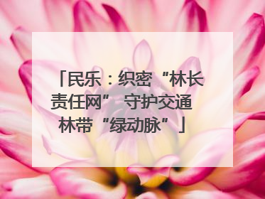 民乐：织密“林长责任网” 守护交通林带“绿动脉”