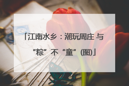江南水乡：潮玩周庄 与“粽”不“童”(图)