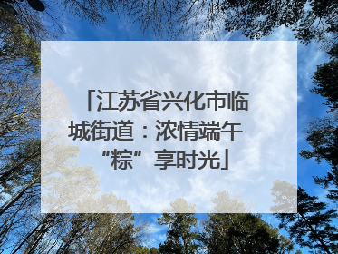 江苏省兴化市临城街道：浓情端午 “粽”享时光