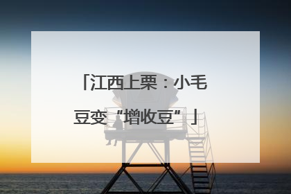 江西上栗：小毛豆变“增收豆”