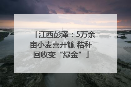 江西彭泽：5万余亩小麦喜开镰 秸秆回收变“绿金”