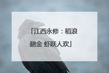 江西永修：稻浪翻金 虾跃人欢