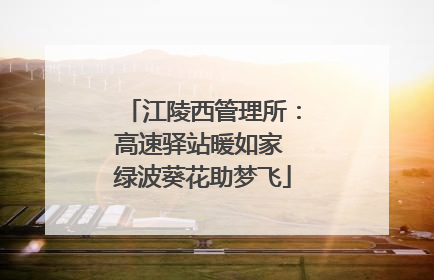江陵西管理所：高速驿站暖如家 绿波葵花助梦飞