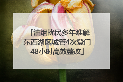 油烟扰民多年难解 东西湖区城管4次登门48小时高效整改