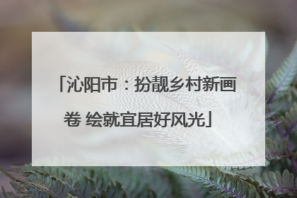 沁阳市：扮靓乡村新画卷 绘就宜居好风光