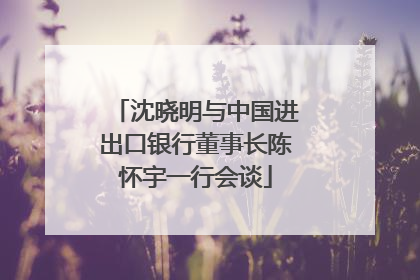 沈晓明与中国进出口银行董事长陈怀宇一行会谈
