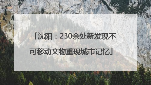 沈阳：230余处新发现不可移动文物重现城市记忆