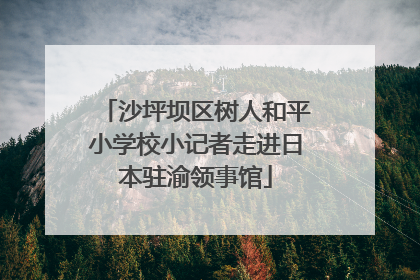 沙坪坝区树人和平小学校小记者走进日本驻渝领事馆