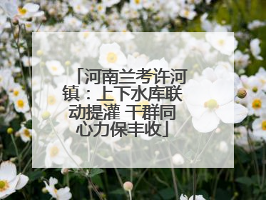 河南兰考许河镇：上下水库联动提灌 干群同心力保丰收