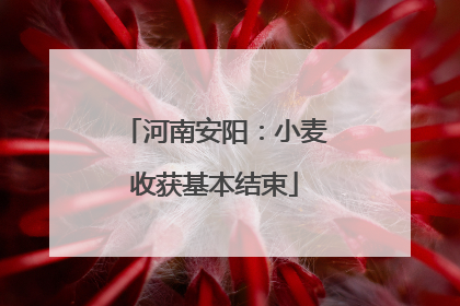 河南安阳：小麦收获基本结束