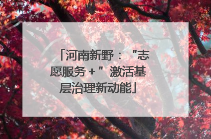 河南新野：“志愿服务＋”激活基层治理新动能
