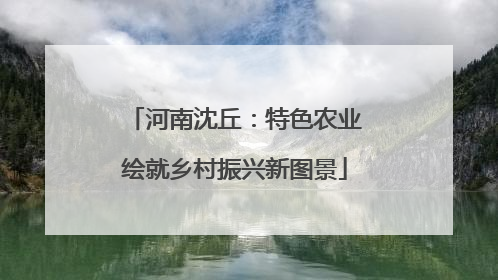 河南沈丘：特色农业绘就乡村振兴新图景