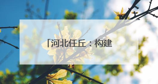 河北任丘：构建现代产业体系 助力高质量发展
