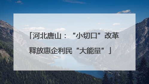 河北唐山：“小切口”改革释放惠企利民“大能量”