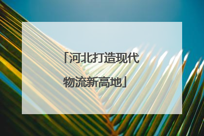 河北打造现代物流新高地
