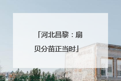 河北昌黎：扇贝分苗正当时