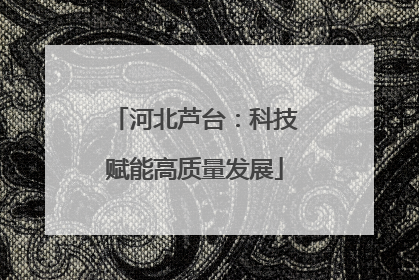 河北芦台：科技赋能高质量发展