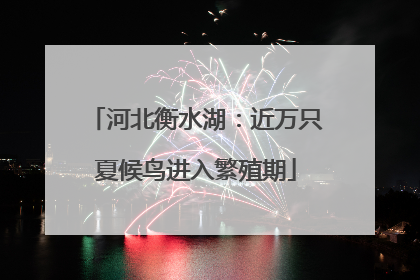 河北衡水湖：近万只夏候鸟进入繁殖期