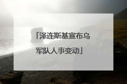 泽连斯基宣布乌军队人事变动