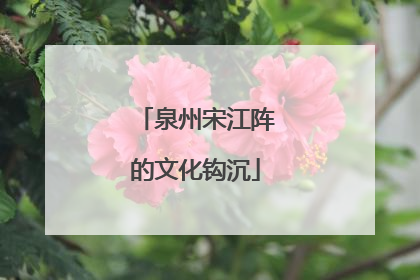 泉州宋江阵的文化钩沉
