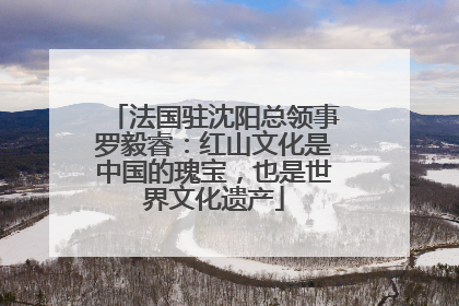 法国驻沈阳总领事罗毅睿：红山文化是中国的瑰宝，也是世界文化遗产