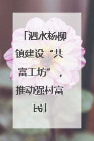 泗水杨柳镇建设“共富工坊”，推动强村富民