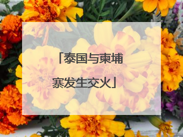 泰国与柬埔寨发生交火
