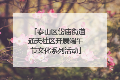 泰山区岱庙街道通天社区开展端午节文化系列活动