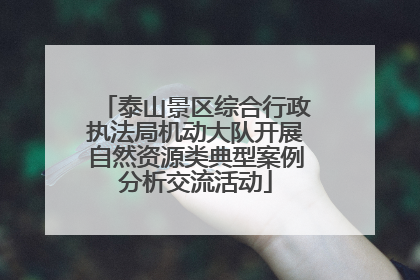 泰山景区综合行政执法局机动大队开展自然资源类典型案例分析交流活动