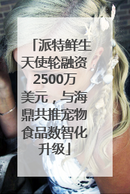 派特鲜生天使轮融资2500万美元，与海鼎共推宠物食品数智化升级