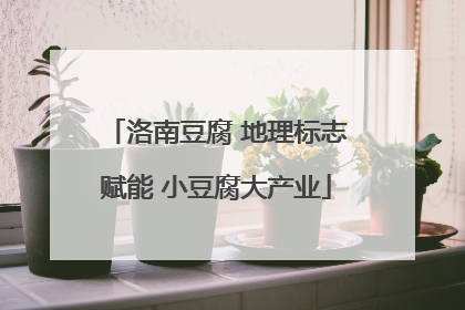 洛南豆腐 地理标志赋能 小豆腐大产业
