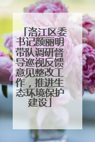 洛江区委书记颜丽明带队调研督导巡视反馈意见整改工作，推进生态环境保护建设