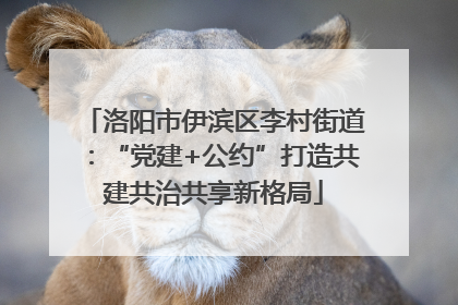 洛阳市伊滨区李村街道：“党建+公约”打造共建共治共享新格局