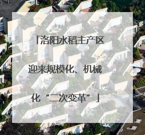 洛阳水稻主产区迎来规模化、机械化“二次变革”