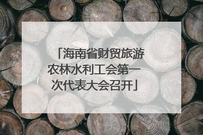 海南省财贸旅游农林水利工会第一次代表大会召开