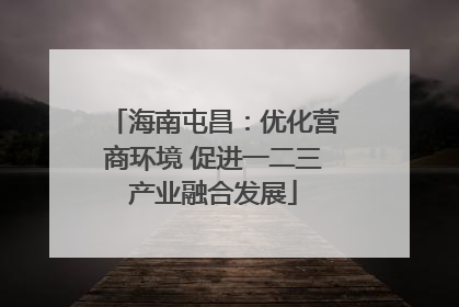 海南屯昌：优化营商环境 促进一二三产业融合发展