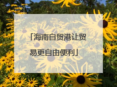 海南自贸港让贸易更自由便利