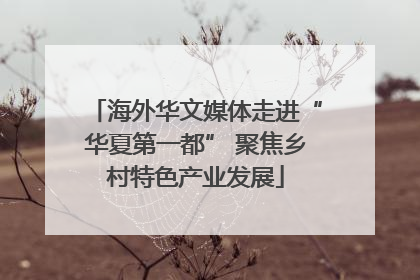 海外华文媒体走进“华夏第一都” 聚焦乡村特色产业发展