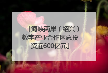 海峡两岸（绍兴）数字产业合作区总投资近600亿元