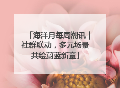 海洋月每周潮讯｜社群联动，多元场景共绘蔚蓝新章