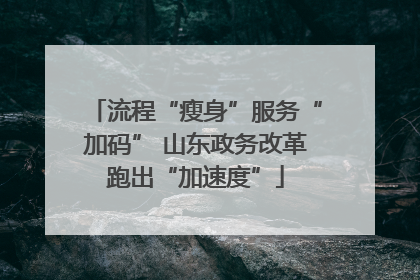 流程“瘦身”服务“加码” 山东政务改革跑出“加速度”