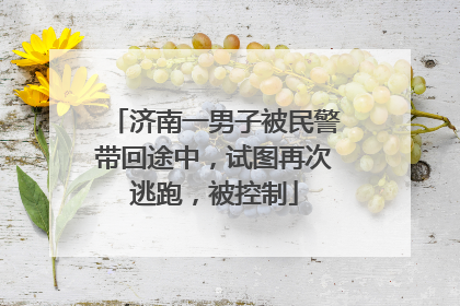 济南一男子被民警带回途中，试图再次逃跑，被控制