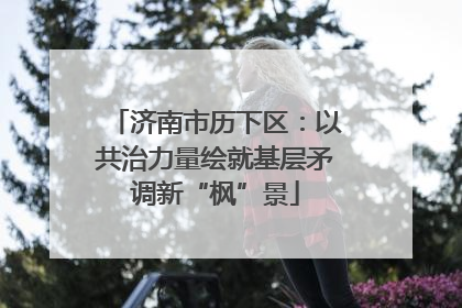 济南市历下区：以共治力量绘就基层矛调新“枫”景